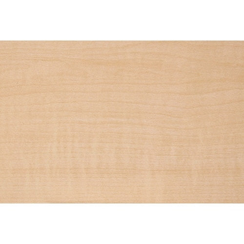 PLUS（プラス）オフィス家具 木製ラック壁付け収納棚2段 116186　