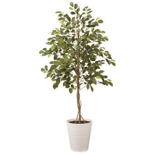 PLUS（プラス）オフィス家具 人工樹木 フィッカスベンジャミナ 92502　4940095925023