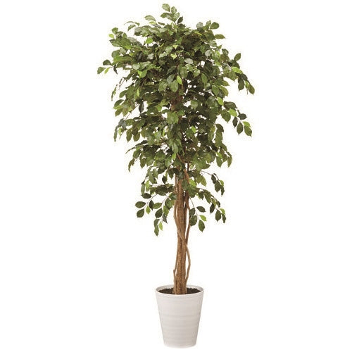 PLUS（プラス）オフィス家具 人工樹木 ベンジャミナリアナ 92503　4940095925030