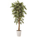 PLUS（プラス）オフィス家具 人工樹木 ベンジャミナリアナ 92503　4940095925030