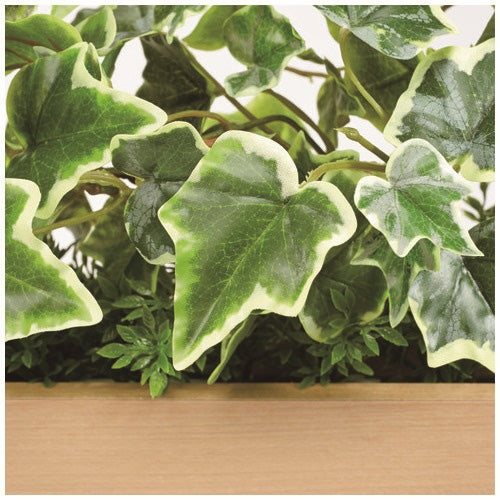 PLUS（プラス）オフィス家具 間仕切りポット GR4461 アイビー　4520385901939