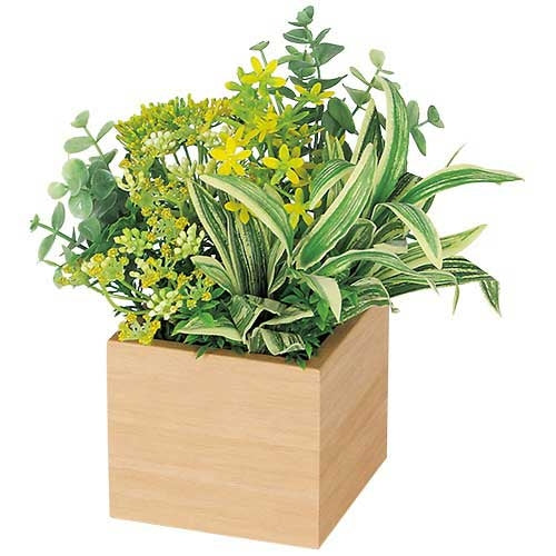 PLUS（プラス）オフィス家具 卓上ポット　ミニ100角　GR4380ナチュラル(ユーカリ)　4971660964666