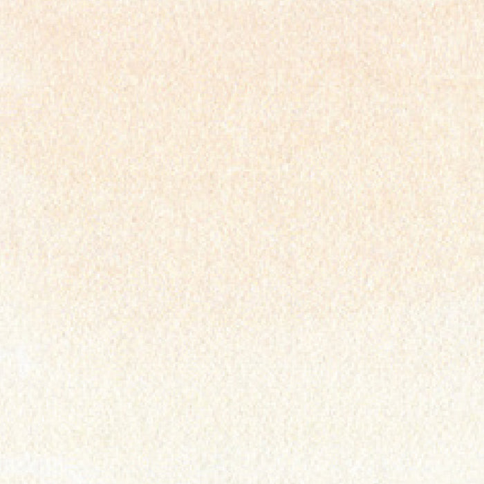 쿠레타케 ZIG 클린 컬러 리얼 브러쉬 NO.002 RB-6000AT-002 (12세트)