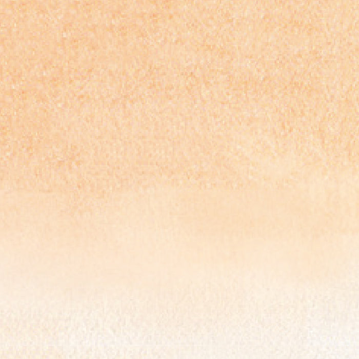 쿠레타케 ZIG 클린 컬러 리얼 브러쉬 NO.071 RB-6000AT-071 (12세트)