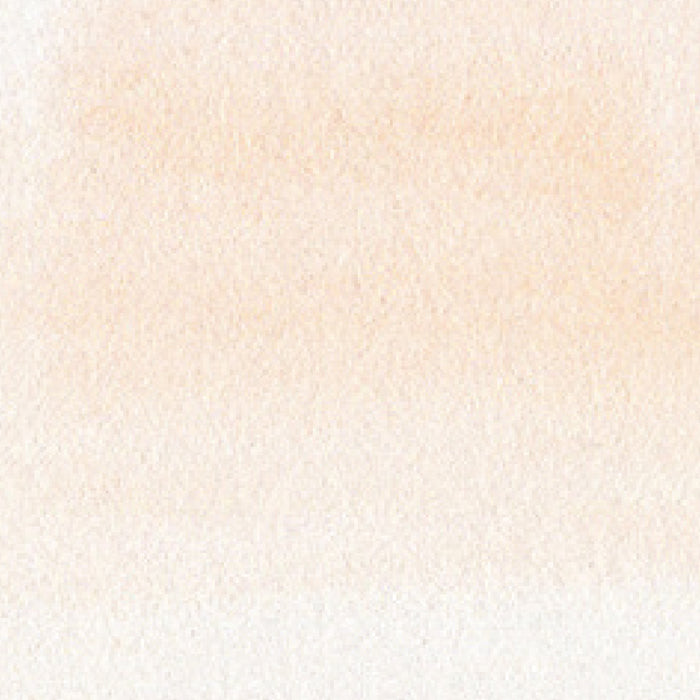 쿠레타케 ZIG 리얼 브러시 미디엄 베이스 RB6000AT076 (12세트)