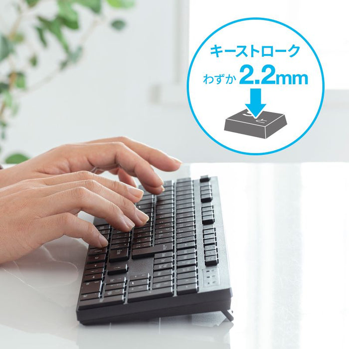 Sanwa Supply Teclado inalámbrico con ratón silencioso SKBWL39SETBK 4969887701058