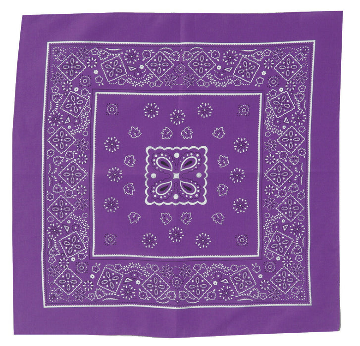 アーテック ﾊﾞﾝﾀﾞﾅ 紫 4521718012476