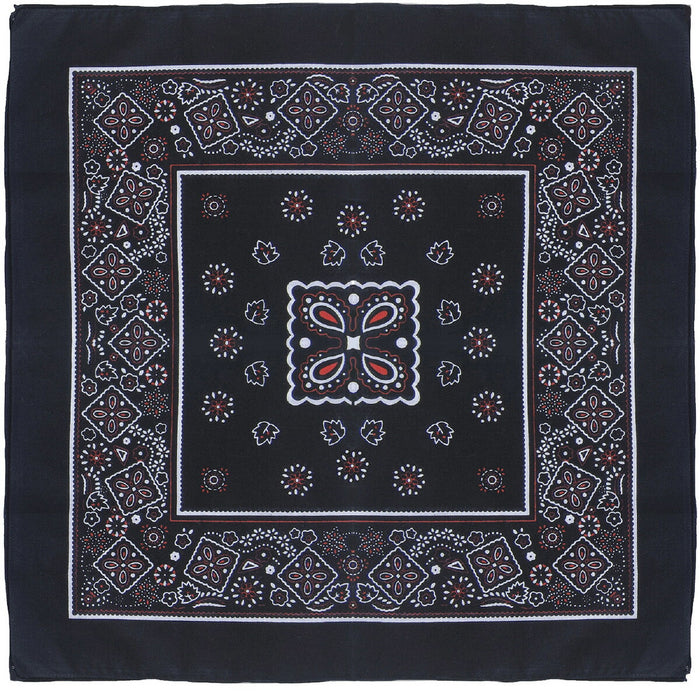 アーテック ﾊﾞﾝﾀﾞﾅ 黒 4521718012483