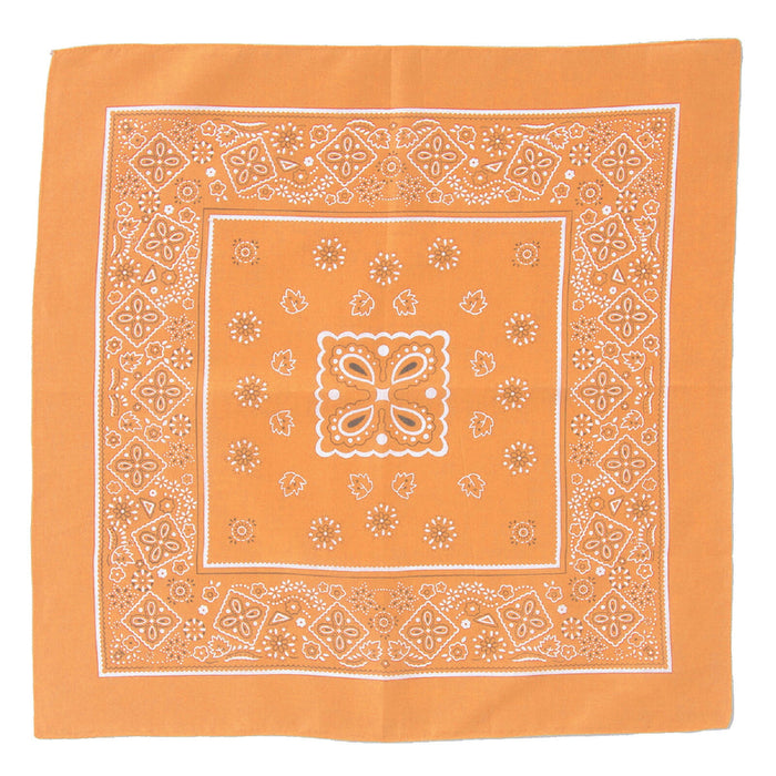 アーテック ﾊﾞﾝﾀﾞﾅ ｵﾚﾝｼﾞ 4521718014630