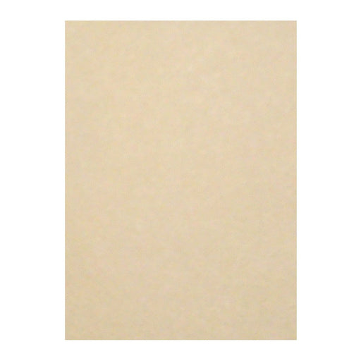 リュウグウ ニューカラー４切 111ｼﾗﾁｬ 4954022641115（100セット）