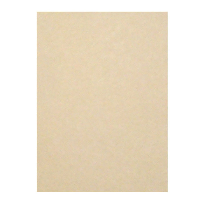 リュウグウ ニューカラー４切 111ｼﾗﾁｬ 4954022641115（100セット）