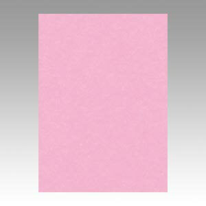 リュウグウ ニューカラー４切 234ﾄｷｲﾛ 4954022642341（100セット）