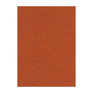 リュウグウ ニューカラー４切 236ﾁｬ　4954022642365（100セット）