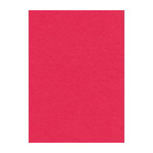 リュウグウ ニューカラー４切 325ﾎﾞﾀﾝ 4954022643256（100セット）