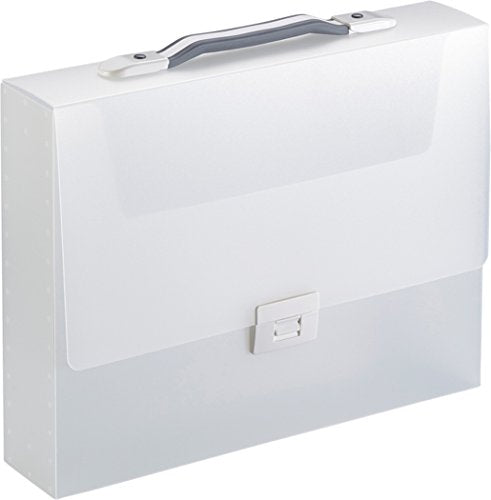 キングジム キャリングケース テフィット（透明） 透明 282TWトウ（10セット）