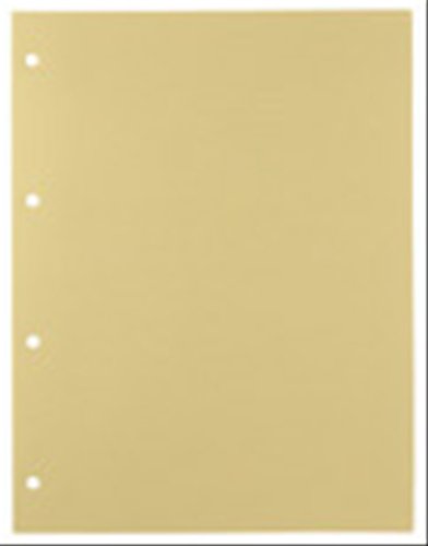 キングジム デラックス透明ポケット A4S 103D（10セット）