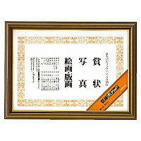 額縁ﾎﾟﾘｳｯﾄﾞA4（10セット）