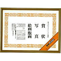 ｶ-7 額縁ポリウッドＢ３　 ｶ-7 コクヨ 4901480445809（10セット）