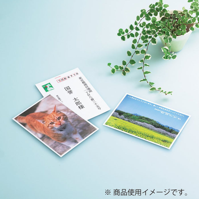 コクヨ ＩＪＰヨウハガキヨウシ KJ-GP2630（10セット）