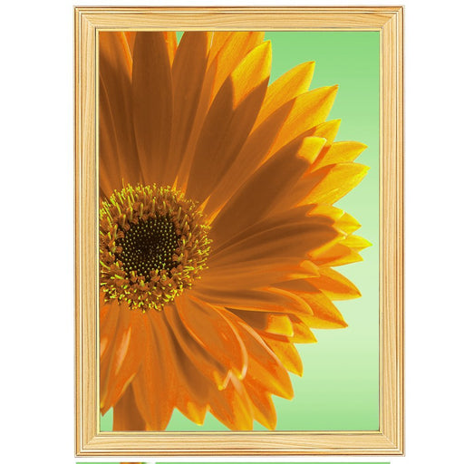 コクヨ　額縁ヒノキ　Ａ３ ｶ-25A3 4901480449326（10セット）