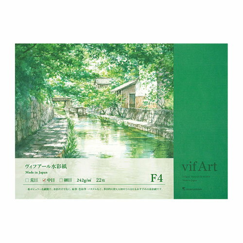 マルマン　Ｆ４ウ゛ィフアールスイサイシブロックチュウ B24VA4979093124183（10セット）