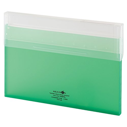 リヒトラブ コングレスケース A4薄型 黄緑 A5035-6（10セット）