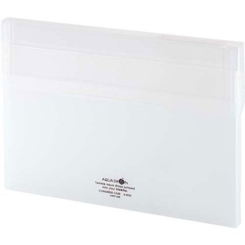 リヒトラブ コングレスケース A5024-1 A4 乳白（10セット）