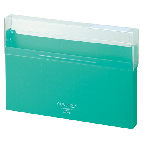 リヒトラブ コングレスケースＡ４グリーン A-6024-7　4903419843472（10セット）