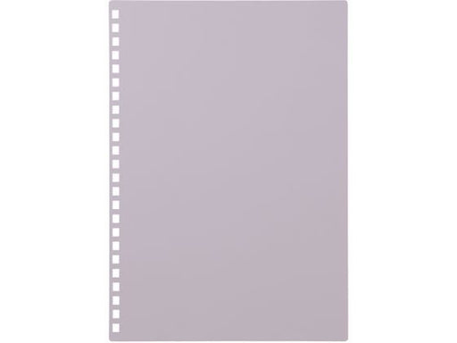 リヒトラブ カスタマイズヒヨウシパープ N-2900-10　4903419360856