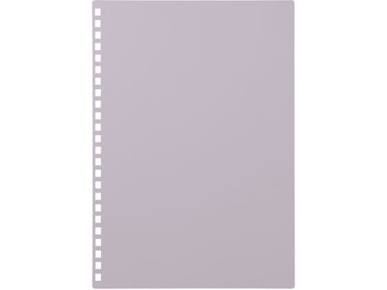 リヒトラブ カスタマイズヒヨウシパープ N-2900-10　4903419360856