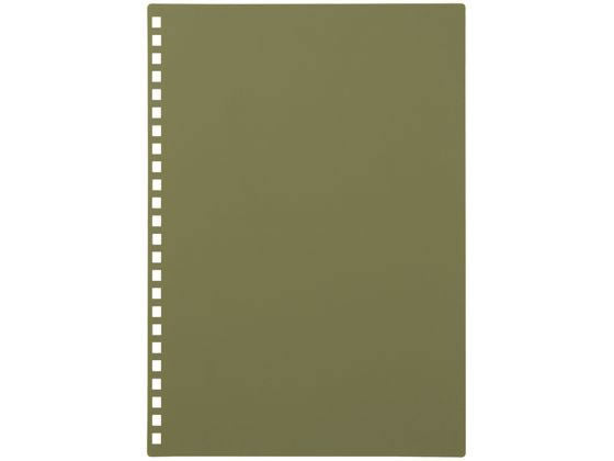 リヒトラブ カスタマイズヒヨウシオリーブ N-2900-22　4903419360900