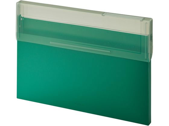 リヒトＤＭＣ コングレスケースＡ４ヨコＤグリーン A-2071-7　4903419849207