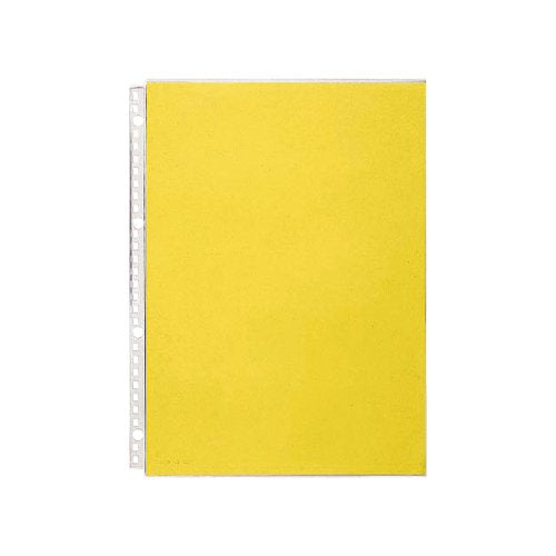 リヒトラブ クリヤーポケット N-1489-10P A4S（10セット）