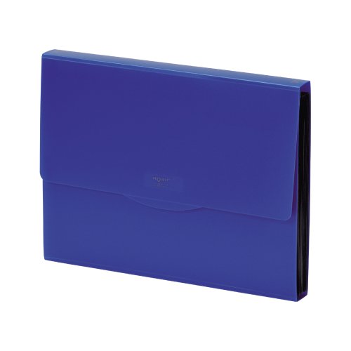 リヒトラブ ドキュメントファイル G5800-11 A4 藍（10セット）