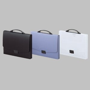 リヒトラブ ナスカフレックス F910 ブラック（10セット）