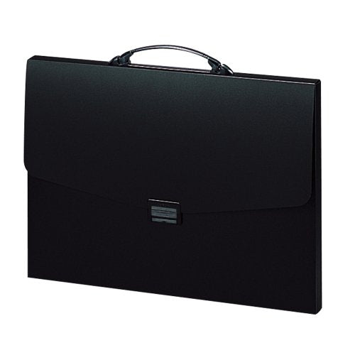 リヒトラブ ポートフォリオ ナスカフレックス F-912 A3 黒（10セット）