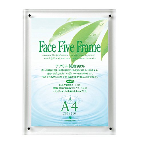 ＡＰＪ フェイスファイブフレーム Ａ４ クリア 0030736695（10セット）