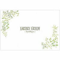 エヌビー ＥＡ封筒グリーン ３０３６９０２（10セット）