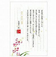 エヌビー 伝えるきもちＢ5便箋 デンファレ タテ10行ヨロ罫 Ｂ5サイズ 18枚 5300204（10セット）