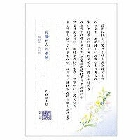 エヌビー 伝えるきもち便箋オクヤミ 5300208（10セット）