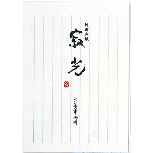 アピカ 和紙便箋 寂光（じゃっこう） セン51 縦罫 セミB5（10セット）