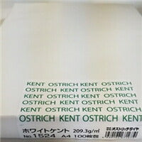 ホワイトケント２０９．３ＧＡ４ 1524 オストリッチ 4930194671679（10セット）