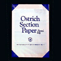 オストリッチ A4 片対数方眼紙 厚ブルー100枚パック 2111（10セット）