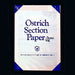 オストリッチ A4 片対数方眼紙 厚ブルー100枚パック 2111（10セット）