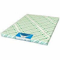 オストリッチ ジュニアケント百枚 １４１２Ａ３（10セット）