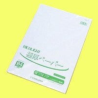 オストリッチ リッチライトカラゴクアツクチＳＰホワイト RGB-41B4（10セット）