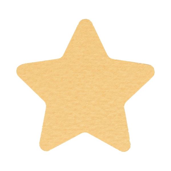 カール クラフトパンチホシ CN45215　4971760002411（10セット）