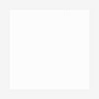 菅公工業 万円型 柾のし袋 白無地 ノ１１４０（10セット）