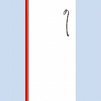 うずまき 柾のし袋千円型わらび ﾉ-2121（10セット）