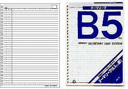 コレクト【CORRECT】テーマリーフ ６．５ミリ罫 Ｂ５ ２６穴 C-7014（10セット）